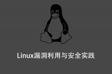 Linux漏洞利用与安全实践