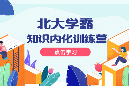 北大学霸·知识内化训练营