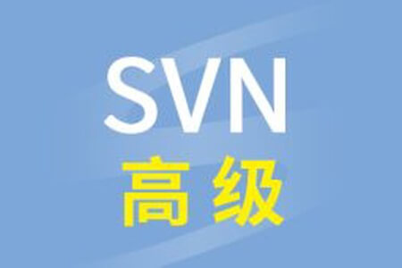 尚硅谷SVN高级视频