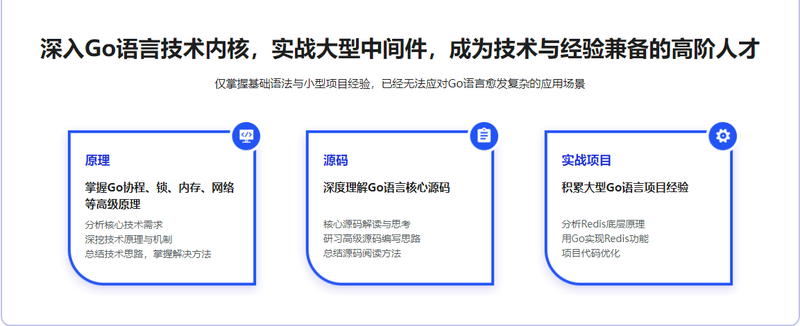 深入Go底层原理，重写Redis中间件实战 | 更新完结