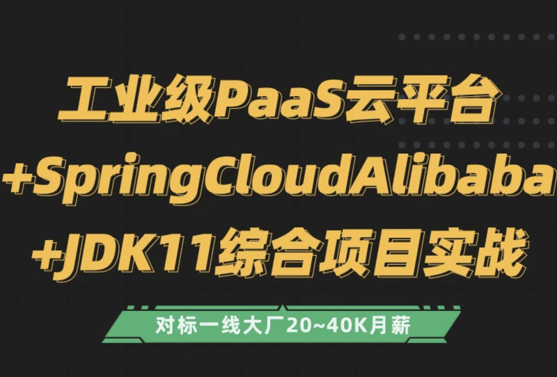 PaaS云平台 SpringCloudAlibaba+JDK11综合项目实战 | 完结