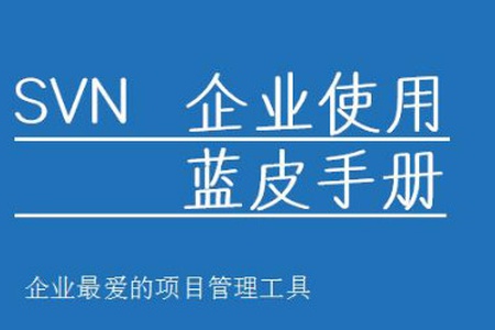 SVN互联网图文教程（0到企业开发）| 完结