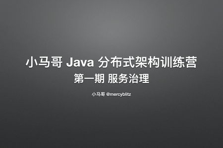 小马哥 Java 分布式架构训练营 – 第一期 服务治理