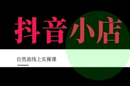 顽石电商·抖店自然流线上实操课【2022版】，从零教你做抖音小店