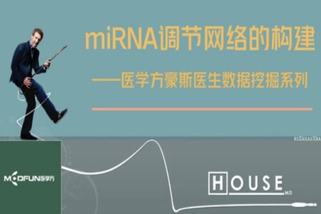 数据挖掘—miRNA调节网络的构建