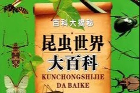 鲜为人熟知的昆虫世界 DK 昆虫世界百科 DK Incredible Insects Q A 高清PDF