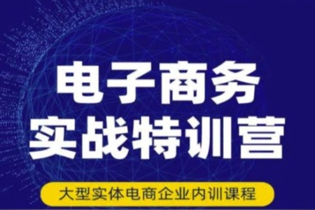 电子商务实战特训营，全方位带你入门电商，308种方式玩转电商