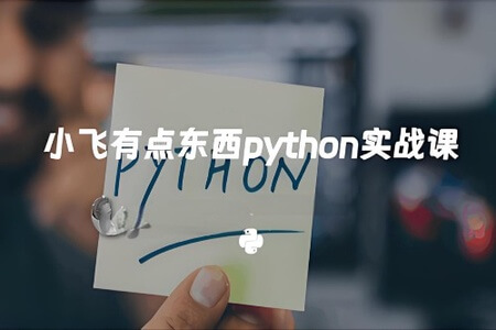 小飞有点东西 三门Python实战课