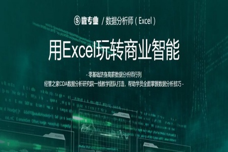 数据分析师《用EXCEL玩转商业技能》