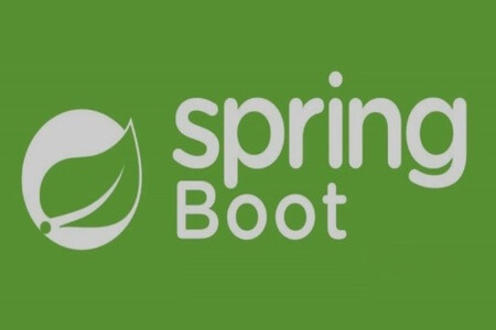 知识星球 Java达摩院（redis+新版 Spring Boot）