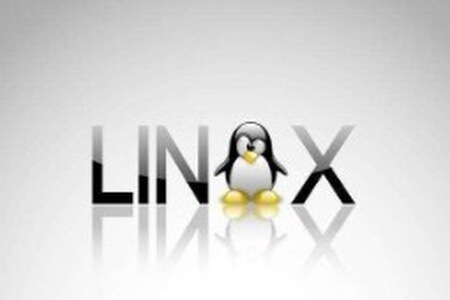 Linux基础命令讲解