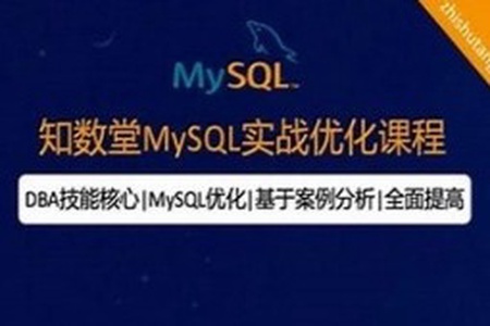 知数堂MySQL实战优化课程