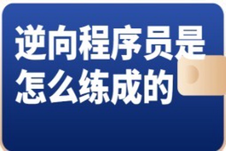 逆向程序员是怎么练成的