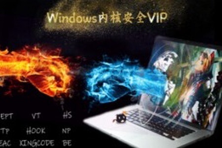 Windows内核安全VIP