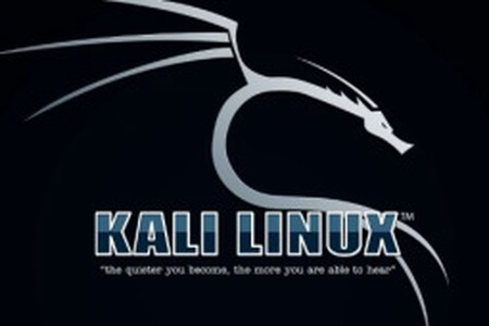 最全的KALI&BT5 linux网络攻防教程