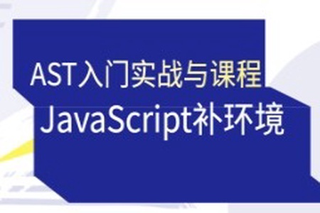 蔡老板-AST入门实战与JavaScript补环境课程