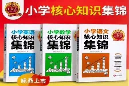 2023王朝霞小学语数英核心知识集锦