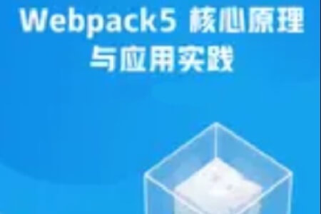 Webpack5 核心原理与应用实践