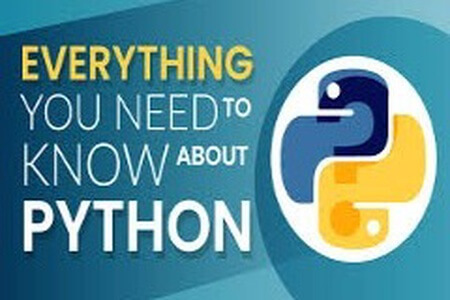 Python圣经: 关于Python编程你所需的一切 | The Python Bible™ | Everything You Need to Program in Python