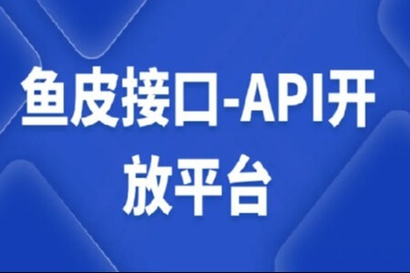 鱼皮接口-API开放平台视频课程