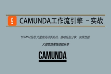 Camunda高级实战培训系列教程