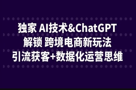 独家 AI技术&ChatGPT解锁 跨境电商新玩法，引流获客+数据化运营思维