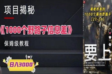 1000个野路子信息差保姆式教程-单日变现3000+的玩法解密