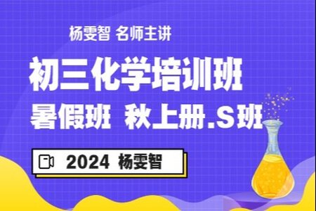 【2024届暑假班秋上.S班】初三化学培训班（杨雯智）