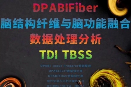 DPABIFIBER脑结构纤维与脑功能融合高阶课程