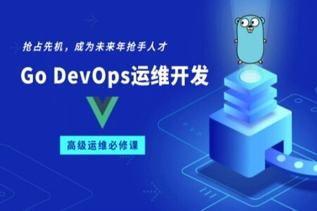 Go/Golang DevOps运维开发实战集训营