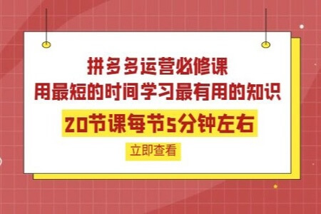 拼多多运营必修课：20节课每节5分钟左右学习最有用的知识