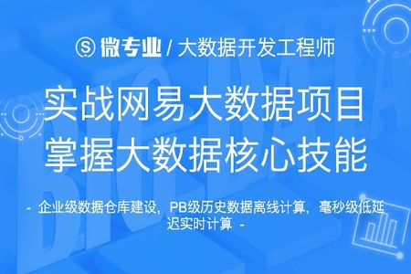 网易云微专业-大数据开发工程师|价值14500元|更新完结