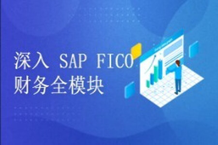 深入浅出学习 SAP S4 HANA FICO 财务全模块