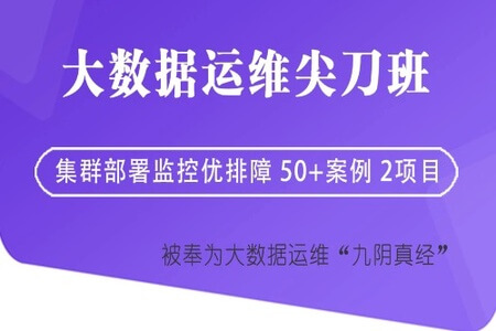 大讲台 大数据运维尖刀班2期 | 完结