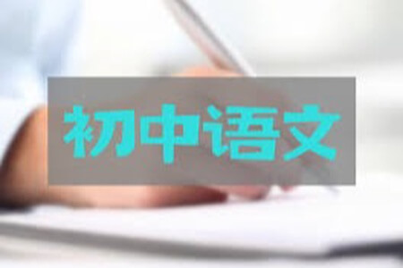 2021年初中学习课程 初三语文阅读写作班陆杰峰（完结）