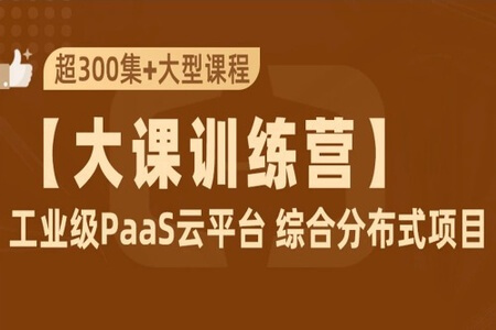 PaaS云平台 SpringCloudAlibaba+JDK11综合项目实战 | 完结