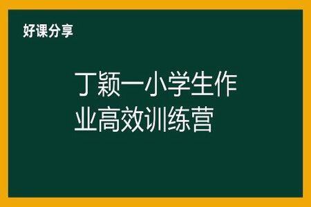 丁颖一小学生作业高效训练营