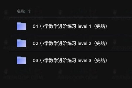 小学数学进阶练习 level 2