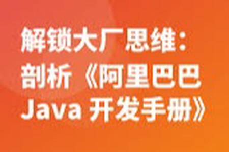 解锁大厂思维：剖析《阿里巴巴 Java 开发手册》 | 完结