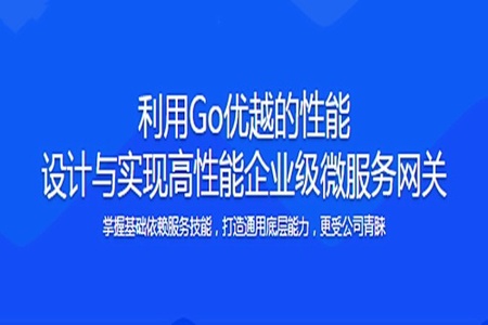 (打造简历金牌项目)Vue+Go 开发企业级微服务网关项目 | 完结