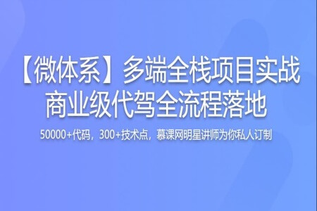 多端全栈项目实战，大型商业级代驾业务全流程落地|价值1299元|更新至7章