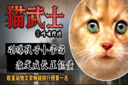 猫武士音频