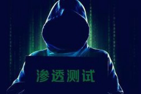 网站黑客与渗透测试  Website Hacking  Penetration Testing