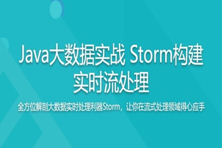 Java大数据实战 Storm构建实时流处理 | 完结