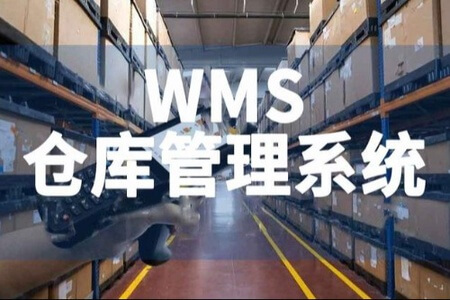 基于 Spring Cloud 微服务的 元蜂WMS仓库项目实战课程（资料完整）