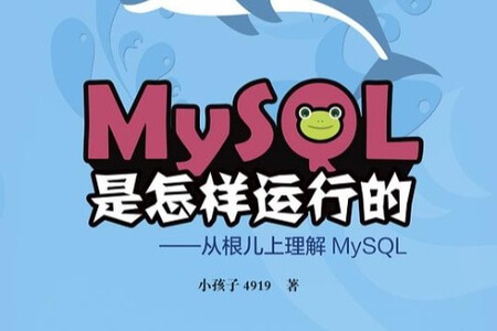 MySQL 是怎样运行的：从根儿上理解 MySQL | 完结