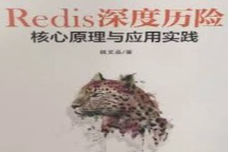 Redis 深度历险：核心原理与应用实践 | 完结