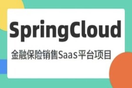 基于SpringCloud微服务 金融保险销售SaaS平台项目2024（资料完整）