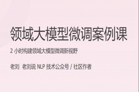 领域大模型微调案例课